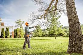 Best Commercial Tree Removal  in Sparta, WI